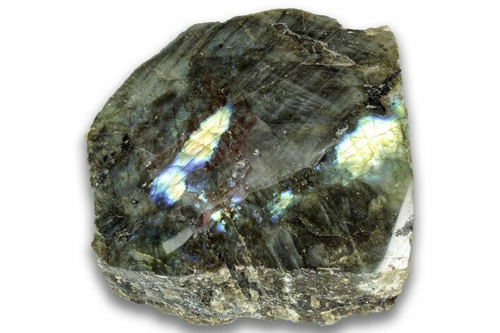 Single Side Polished Labradorite Section - Madagascar #324657